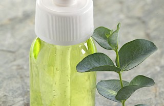 eucalipti rimedi pianta tisane erboristeria