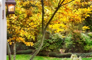 autunno-giardino-piante autunno-giardino-piante