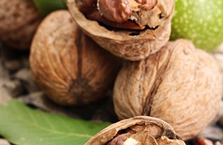 frutta guscio secca benefici salute proprietà nutritive frutta guscio secca benefici salute proprietà nutritive