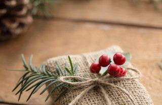 regalo con agrifoglio regalo con agrifoglio