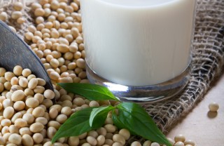 latte vegetale varietà scelta fatto in casa 