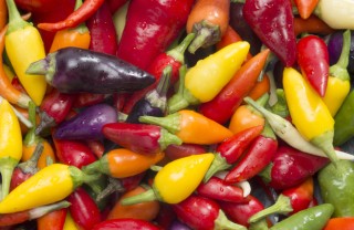 peperoncino conservazione utilizzo consigli varietà peperoncino conservazione utilizzo consigli varietà