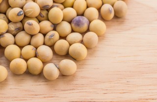 soia alimento legume proteine benefici salute consigli