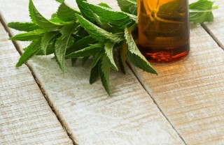 menta proprietà salute infusi cucina