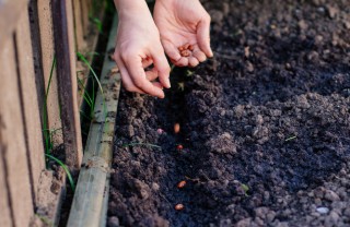 orto-primavera-consigli