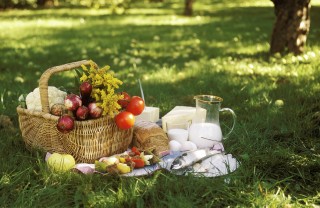 pic nic