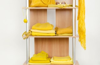 estate, giallo, mimosa estate, giallo, mimosa