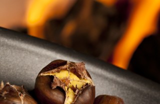 castagna frutta autunno inverno marrone foresta castagna frutta autunno inverno marrone foresta
