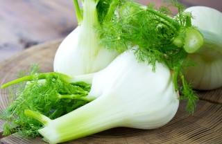 finocchio ortaggio salute verdura finocchio ortaggio salute verdura
