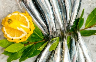 pesce azzurro caratteristiche pulizia proprietà