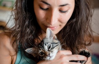 pet, therapy, salute, animali