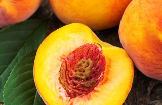pesca-albero-estate-frutta pesca-albero-estate-frutta