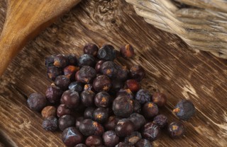 spezie anice stellato ginepro chiodi garofano