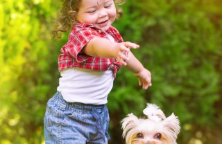 cane, fido, scelta, bambini, amicizia