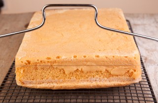 pan di spagna