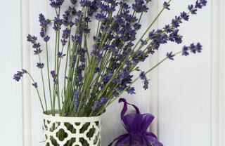 La lavanda per profumare la tua casa