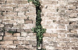 sognare il terremoto