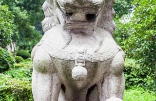 oroscopo cinese drago