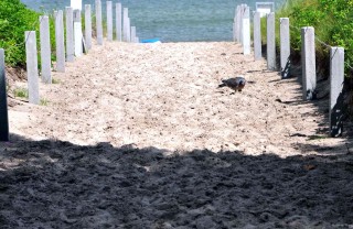 dove andare in vacanza a settembre