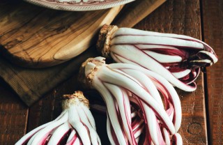 come coltivare il radicchio