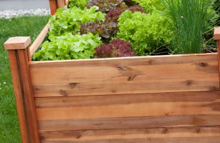 serra fai da te sul balcone
