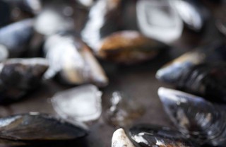 come pulire le cozze velocemente