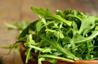 come coltivare la rucola