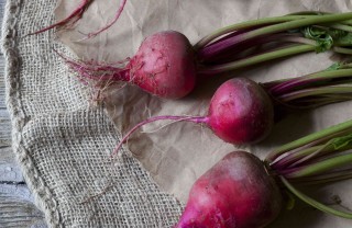 come coltivare le barbabietole