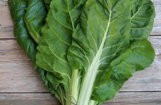 come coltivare le bietole