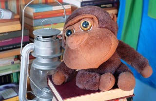 come organizzare la libreria di casa