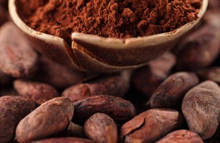 cacao proprietà cacao proprietà