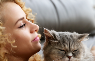 gatto adatto personalità tipo di vita 