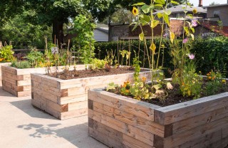 come organizzare un orto sinergico