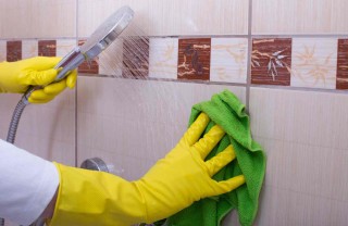 come scrostare il wc e il piatto doccia