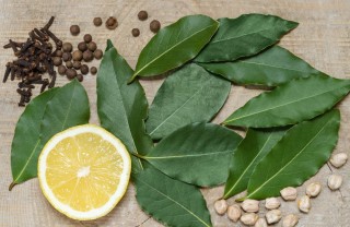 tisana alloro, rimedi naturali, indigestione