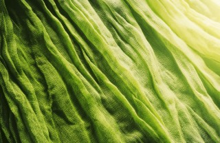look verde greenery colore dell'anno 2017, pantone 2017 greenery come inserire nel look il colore dell’anno 2017, pantone grenery 2017 abbigliamento