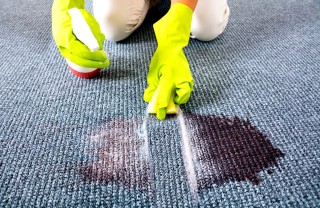 Come eliminare le macchie dalla moquette moquette, pulizie domestiche, lavare pavimento
