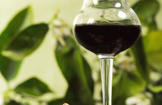 Liquore di noci nocino