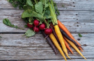 ravanelli, carote, insalata