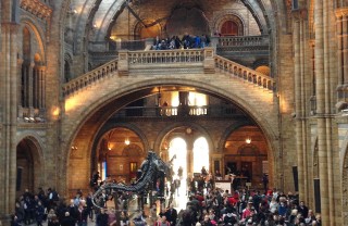 natural history museum ©OliviaChierighini