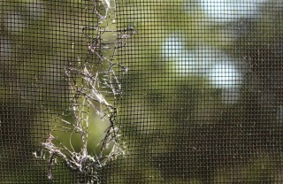 come aggiustare buco zanzariera