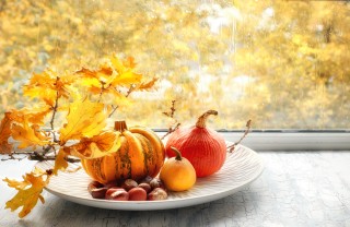 addobbi autunnali finestre, decorazioni autunnali fai da te