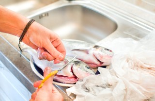 come pulire pesce appena pescato, pulire pesce