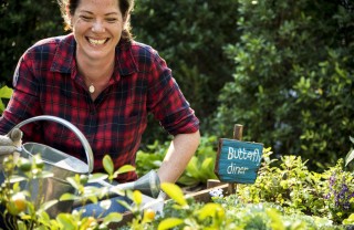 cosa coltivare novembre orto, orto novembre