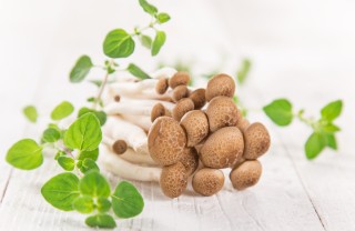 funghi chiodini ricette