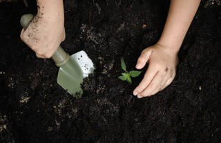fare giardinaggio con bambini, come coltivare con bambini