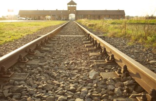 Giornata della memoria, frasi giornata della memoria frasi, 27 gennaio frasi, giorno della memoria frasi, shoah frasi