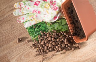 argilla espansa giardinaggio, argilla espansa cos’è