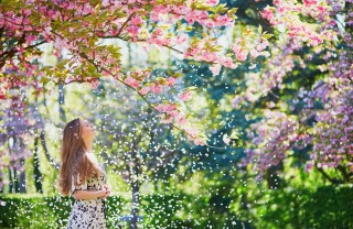 Benvenuta primavera, frasi benvenuta primavera, frasi primavera