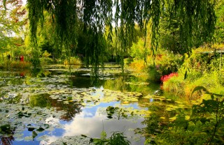 Giardino, orto